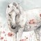 Wild Horses V Poster Print by Lisa Audit - Item # VARPDX37946